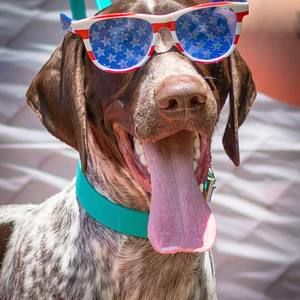 Meet your Posher, Stacy